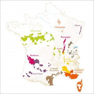 Wine tours in France wine regions