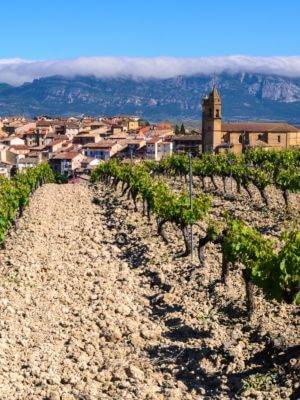 The Rioja Vineyards at Elciego