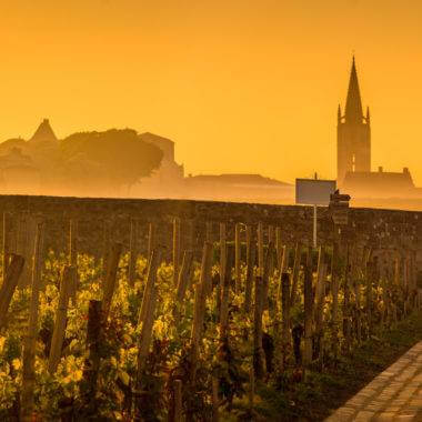 wine tours of france