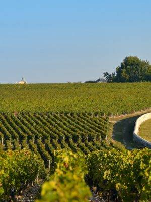 french wine tours bordeaux