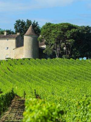 french wine tours bordeaux