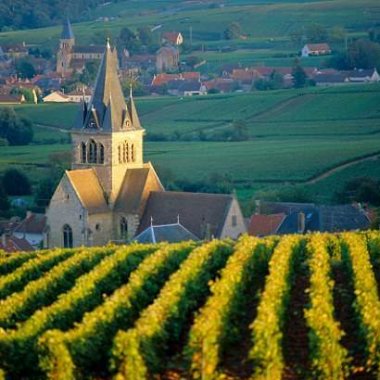 wine tour from france